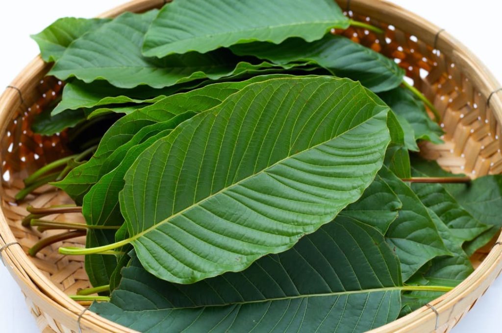 How is White Maeng Da kratom created