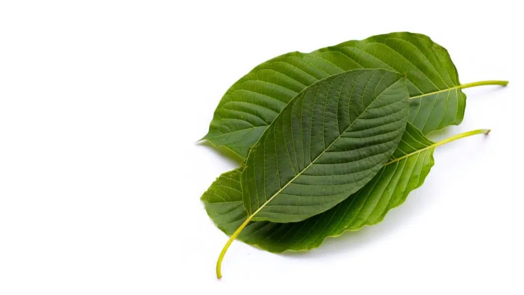 Be a kratom advocate now