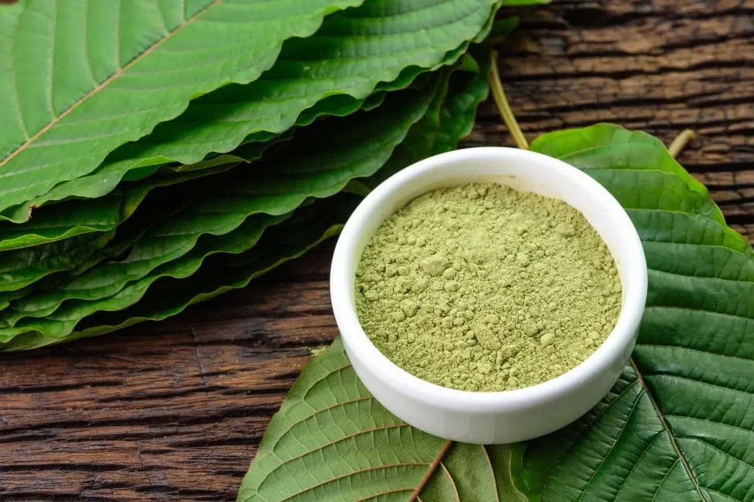 How Long Does Kratom Stay in Your System?