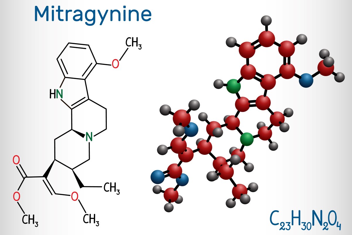  2D and 3D diagrams of the mitragynine molecule