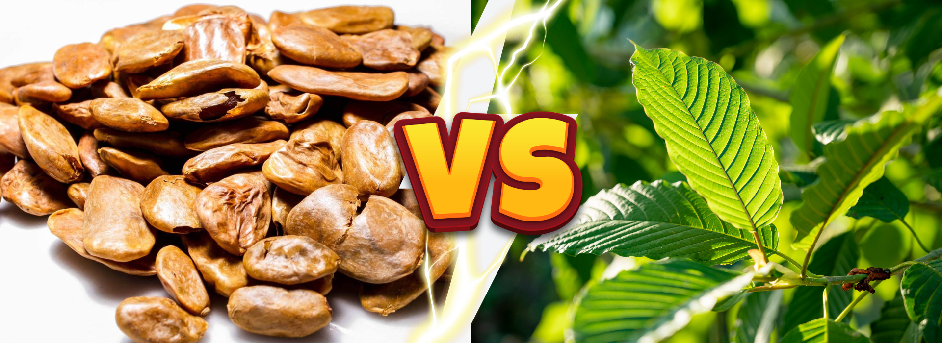 Akuamma Seeds Vs Kratom: What Are The Differences & Similarities?