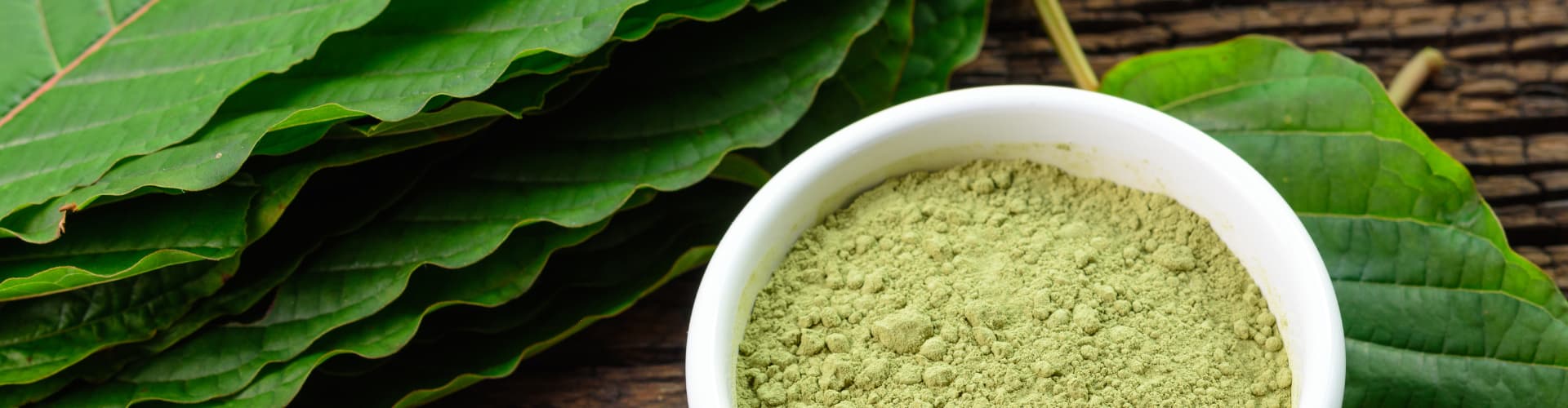 What is Kratom (Mitragyna Speciosa)? A Beginner’s Guide on Uses, Strains & Product Types