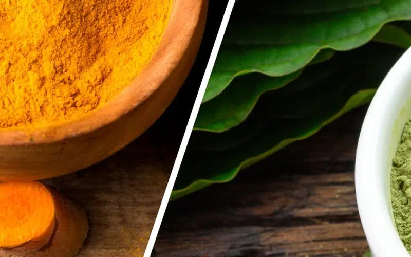 Combining Kratom and Turmeric: Are There Any Benefits?