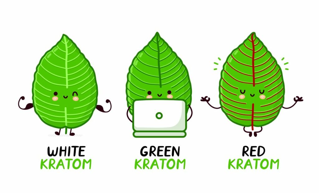 Kratom leaf icons with muscles, computer, and chill vibes