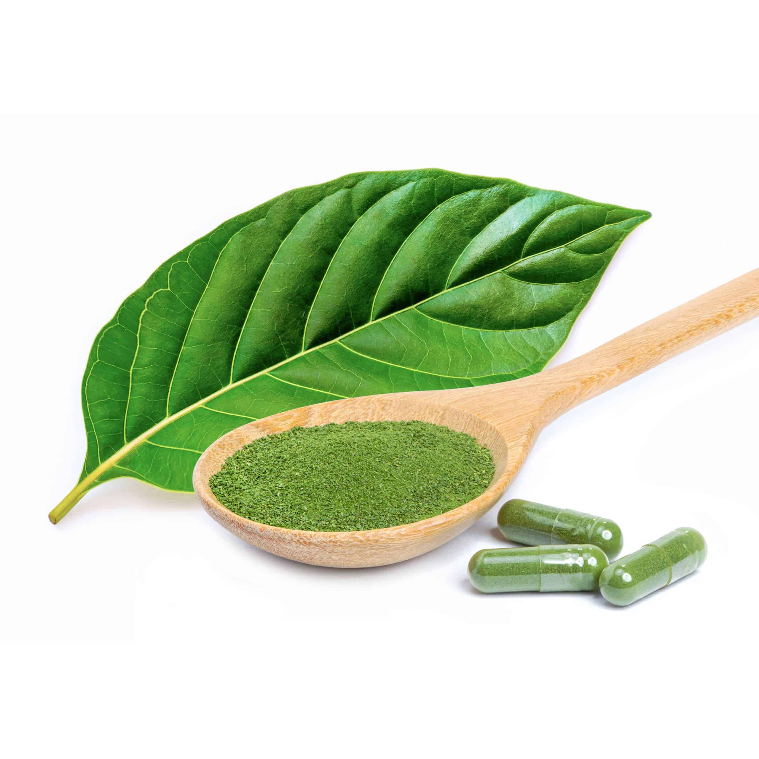 Kratom Powder Extract: Buying and User Guide