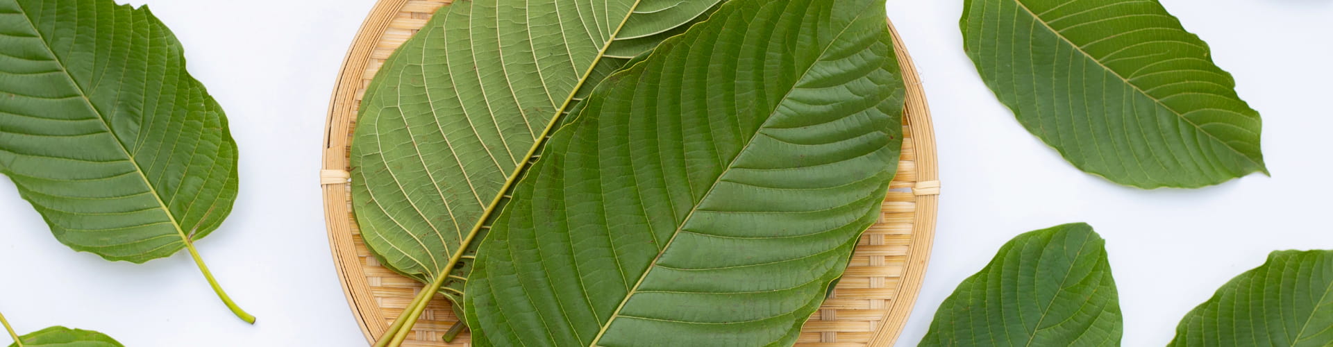 Kratom is Its Own Thing: Know the Facts for this One-of-a-Kind Botanical